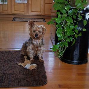 Meet your Posher, Lori